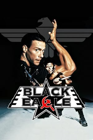 Black Eagle 1988 100mb Hindi Dual Audio movie Download