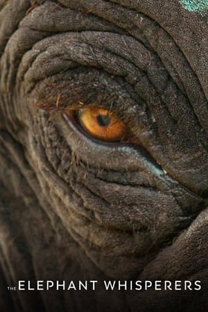 The Elephant Whisperers (2022) Hindi Dual Audio –